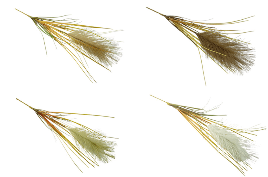 8dc4666d-e3c3-4d68-bbdf-c1b0f00f9dd7
